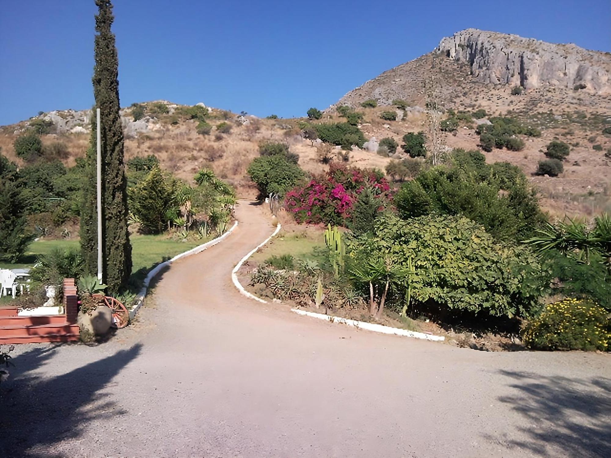 Santa Matilde *